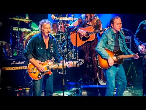 Niedeckens BAP feat. Thees Uhlmann - Absurdistan (Offizielles Live Video)