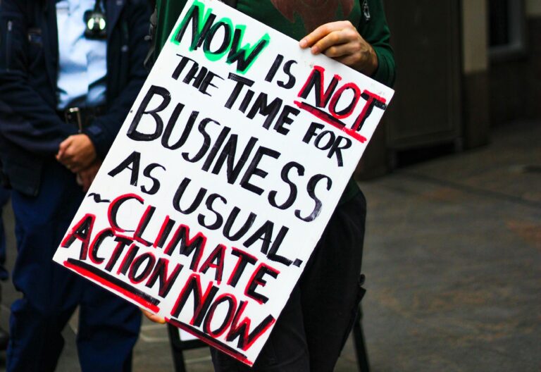 Demoplakat: Now is not the time for business as usual. Climate Action now.