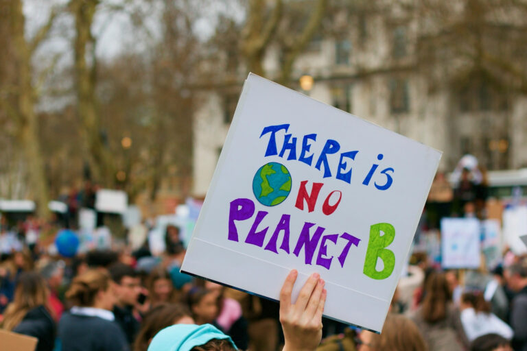 Foto einer Klima-Demo mit Menschen im Hintergrund. Im Vordergrund hält eine Hand ein Plakat "There is no Planet B". Von Kevin Snyman auf Pixabay.