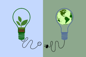 Ökostrom-Karikatur: zwei mit Stecker verbindbare Glühbirnen. Die eine zeigt eine grüne Pflanze, die andere die Erdkugel. Bild: Rosy auf Pixabay.
