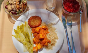 Auf einem Tablett stehen ein Teller mit einem veganen Gericht. Daneben ein Schälchen mit Salat und ein Himbeer-Dessert.