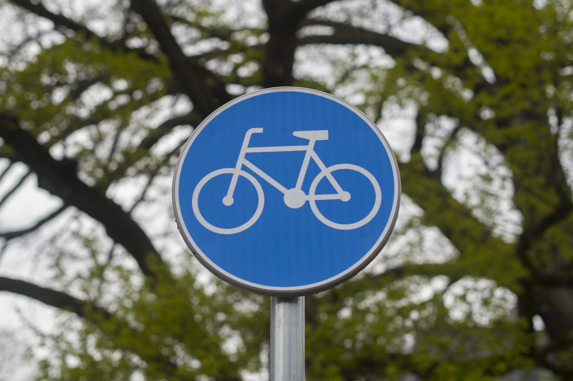 Verkehrsschild Radweg