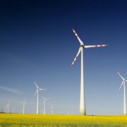 Windräder auf einem Rapsfeld