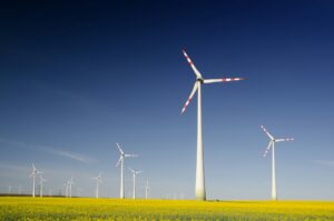 Windräder auf einem Rapsfeld