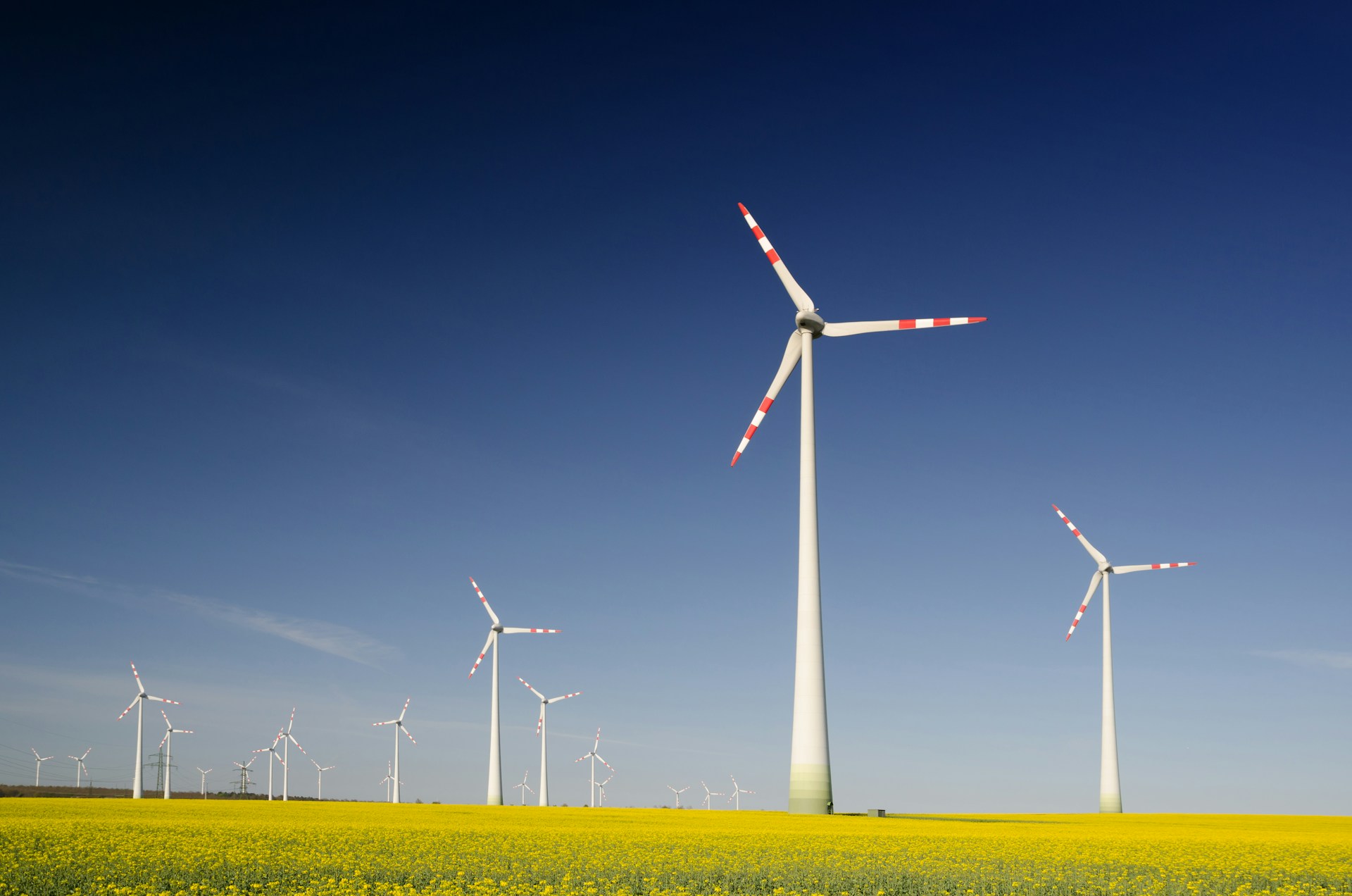Windräder auf einem Rapsfeld