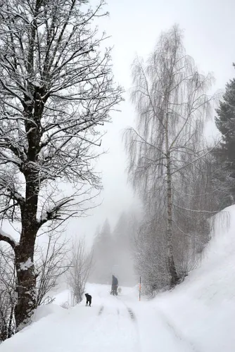 Windstille Winterlandschaft. Bild von Ursula auf Pixabay