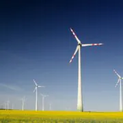 Windräder auf einem Rapsfeld