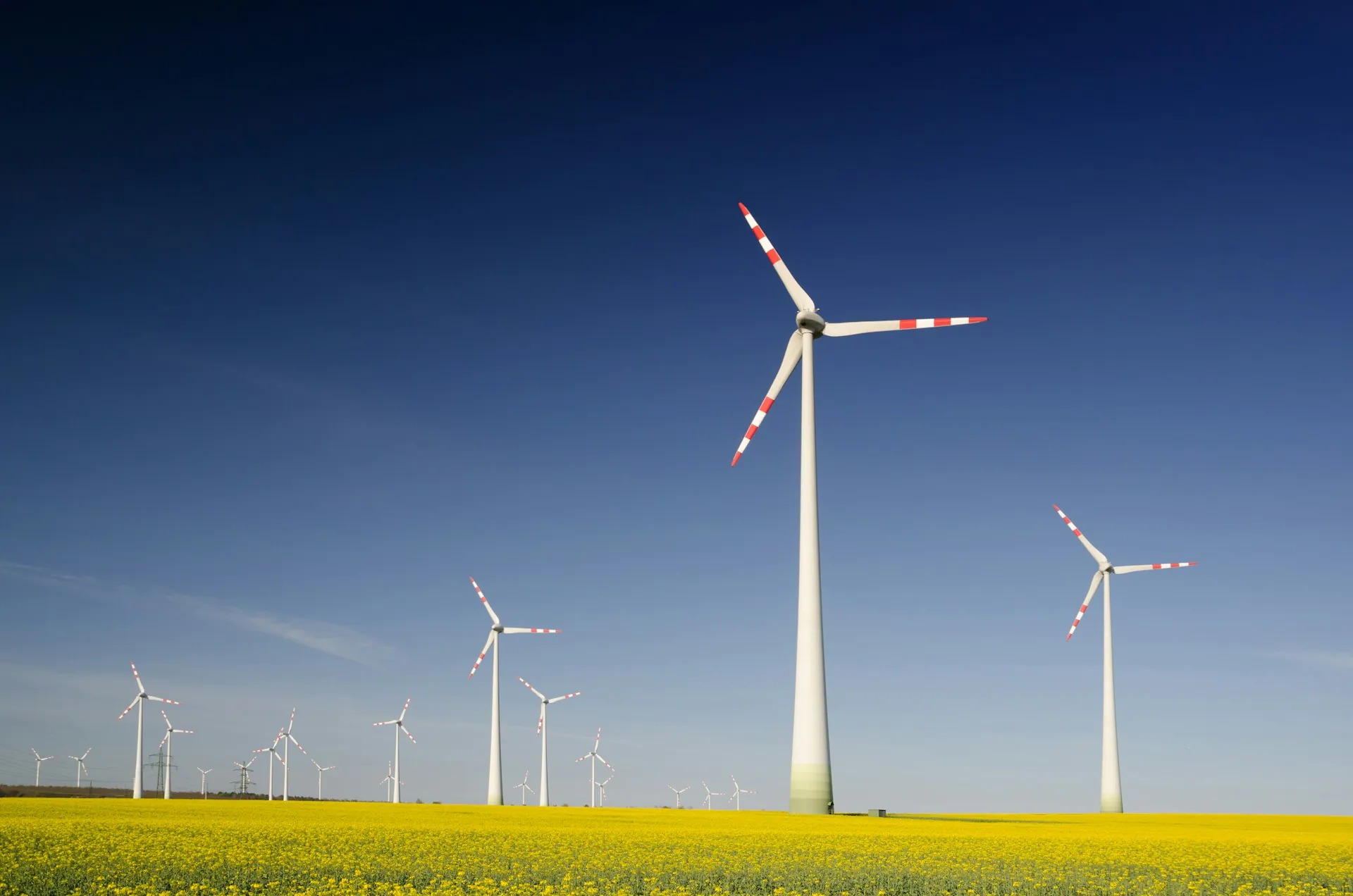 Windräder auf einem Rapsfeld
